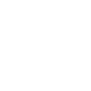 Stokvis
