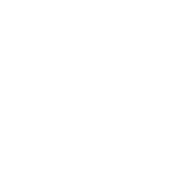 FishToFish