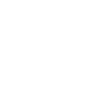 Beeldbrigade